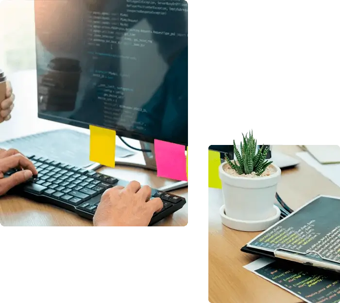 time-de-marketing-digital-em-praia-grande